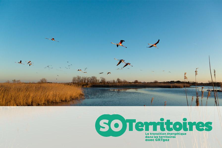 Logo soTerritoires et Photo Getty Images